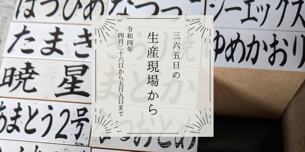 4月26〜5月9日の生産現場から、立夏の45投稿！ | 農家漁師から産地直送の通販 ポケットマルシェ