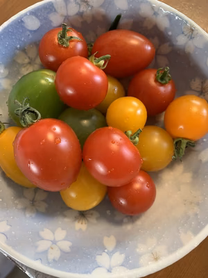 みんなの投稿の画像