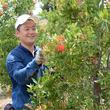 須藤金一