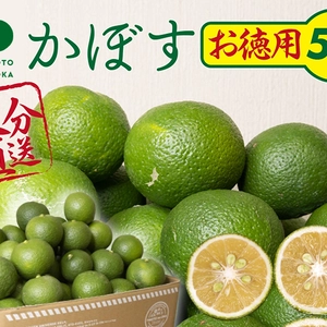 【お徳用・訳あり】猛暑にはスッキリかぼす！（５kg）