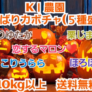 期間限定！ KＩ農園 北海道産カボチャ(５種盛り)