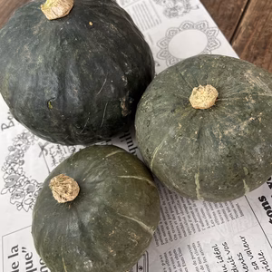 ☆有機JAS☆かぼちゃセット約1.5㎏
