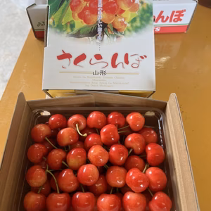 山形県産！さくらんぼ佐藤錦！