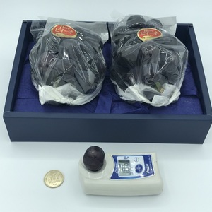 ニューピオーネ２房（化粧箱入り・１房４５０ｇ～５５０ｇ）