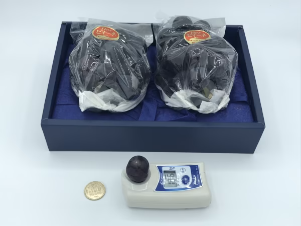 ニューピオーネ２房（化粧箱入り・１房４５０ｇ～５５０ｇ）