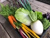 【旬のお野菜が届きます♪】自然栽培べっぴんやさいお楽しみBOX