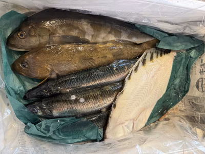 みんなの投稿の画像