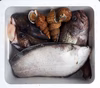 岩手の鮮魚セット