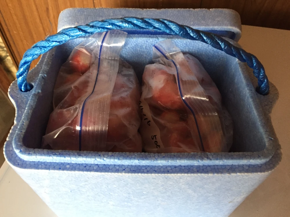7月発送　冷凍いちご 1kg〜 あきひめ、紅ほっぺ