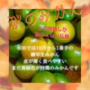 有田みかん　みかん　由良早生　10キロ　訳あり　中身は美味