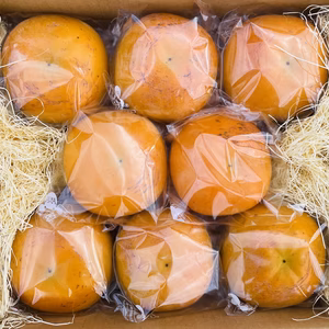 【贈答用】サクサク食感の【太秋柿】(冷蔵個包装) 3L 8個