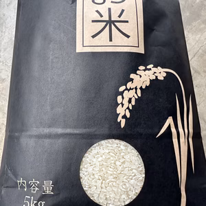 つやつや光るコシヒカリ令和7年度茨城県大子町産10kg