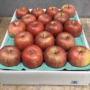 【訳あり】サンふじ