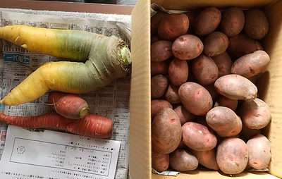 みんなの投稿の画像