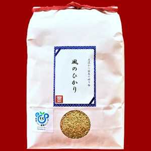 【新米】茨城県産コシヒカリ　風のひかり5kg（玄米）