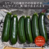 濃厚な味わい！ズッキーニ / 農薬不使用