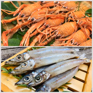 不恰好でも旨味は満点ガシャえびとじっくり焼いて食べたいメギスの丸干し