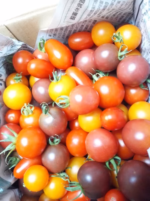 みんなの投稿の画像