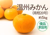 温州みかん＜南柑20号＞〈優品・家庭用〉約５kg　※発送は12月上旬頃～
