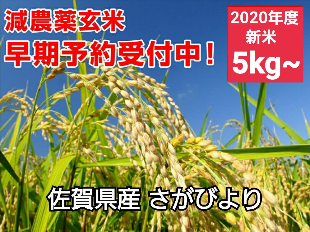 送料無料 即納 田んぼに入らない農家ばかり 玄米kg ３年産コシヒカリ 特栽 農薬等不使用 アルセウス Www Molasbrasileiras Com