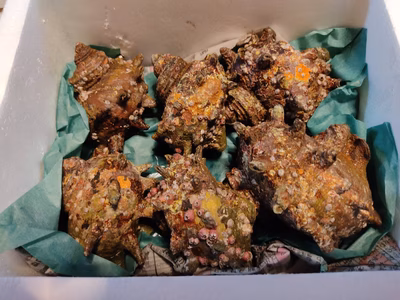 みんなの投稿の画像