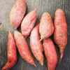 【収穫そのまま】★数量限定★農薬除草剤不使用さつまいも　”シルクスイート”　3