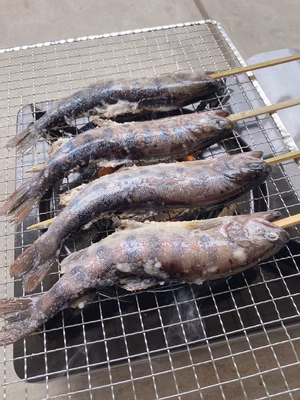 みんなの投稿の画像