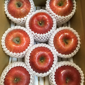 シャキシャキッ！完熟サンふじ 2kg箱 信州りんご