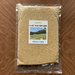 【自然栽培】ハッピーヒルウルチ玄米950g　農薬不使用・無肥料栽培　令和５年産