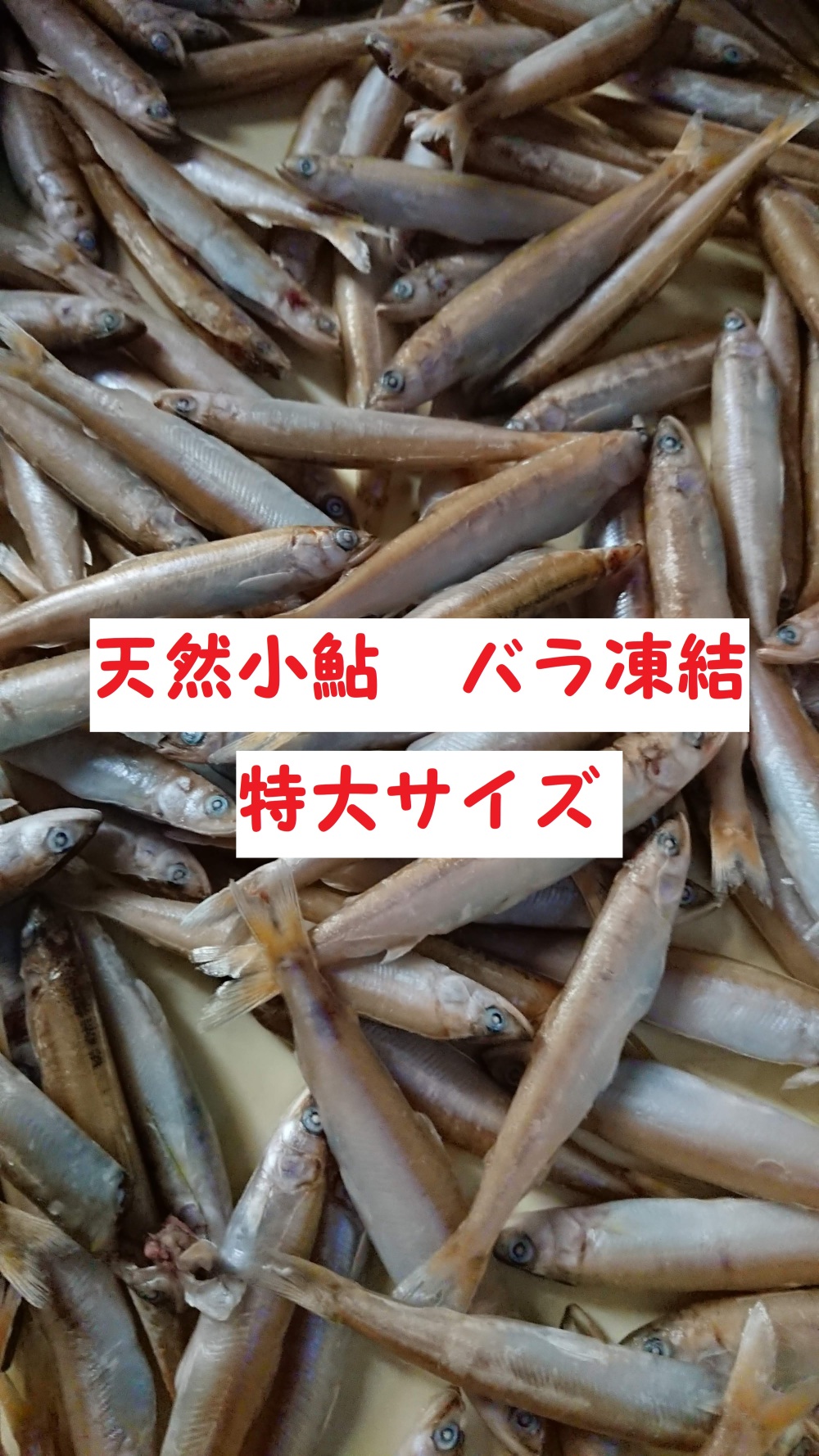 冷凍 琵琶湖産 天然 小鮎 特大サイズ 1尾12cm g前後 農家漁師から産地直送の通販 ポケットマルシェ