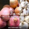 旬の限定！EM栽培3種の野菜セット【農薬不使用】土付き