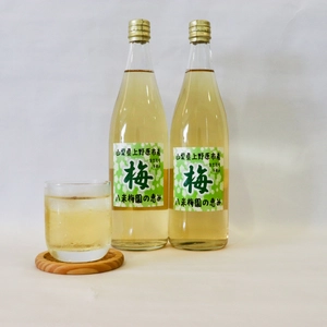 自然栽培の梅果汁「谷米梅園の恵み（30％果汁）」　720ml 2本