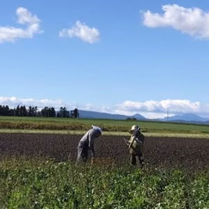 ぽっけの夏野菜セット【北海道自然栽培】