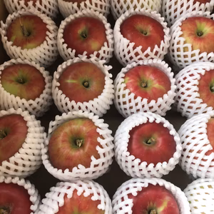 青森県産りんご 「紅玉」家庭用 キズ有 約4kg~ 【フルーツキャップ】