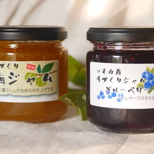【千葉県いすみ産】手づくりジャムセット　（ブルーベリー、梅）各200g×4個