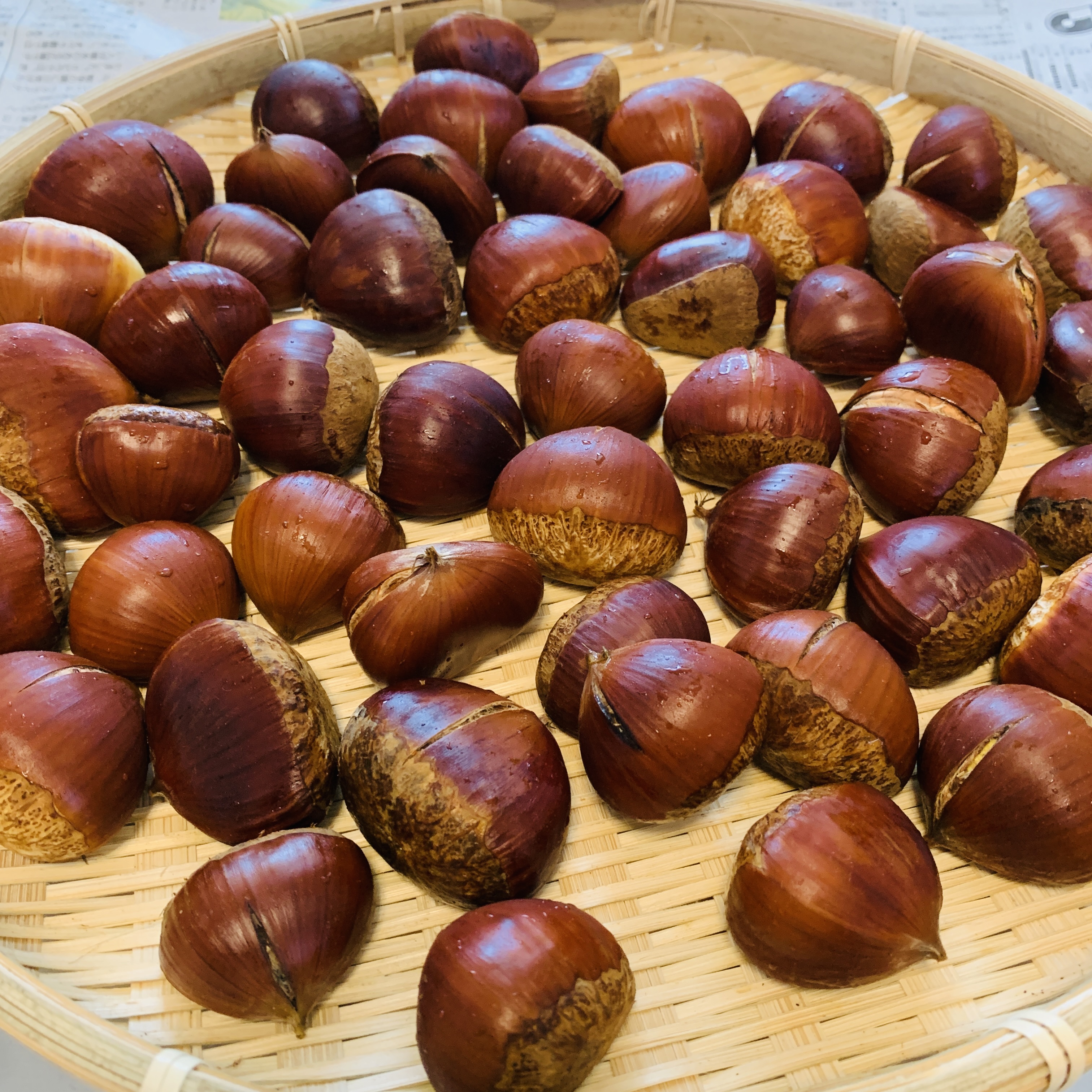 栗（くり）の通販・お取り寄せ商品｜果物｜ポケットマルシェ｜産地直送