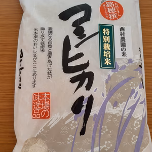 大玉村で育った美味しい　コシヒカリ精米5kg×2袋