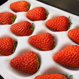 箱入りいちご＜紅ほっぺ＞  