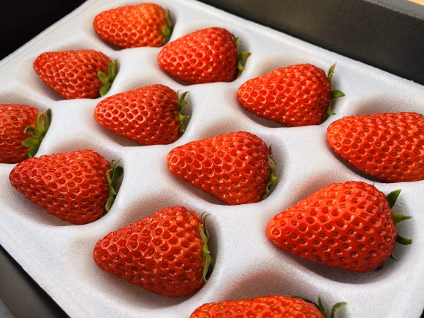 箱入りいちご＜紅ほっぺ＞  