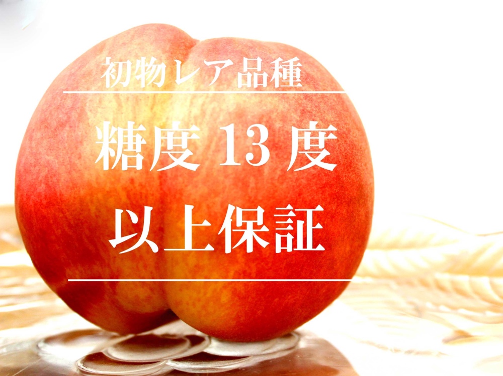 糖度13度以上保証感動ふくおとめ桃 初物レア桃 農家漁師から産地直送の通販 ポケットマルシェ