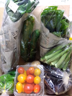 みんなの投稿の画像