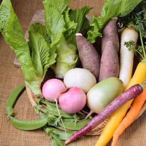 多品目栽培農家のユニーク旬野菜つめあわせセット