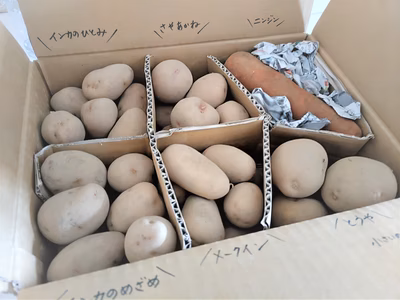 みんなの投稿の画像