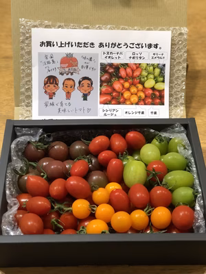 みんなの投稿の画像