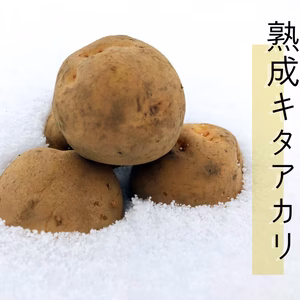 【丸ごと調理の小ささ】熟成ジャガイモキタアカリ　Sサイズ