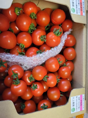 みんなの投稿の画像