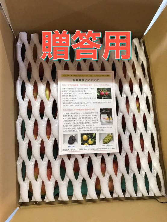 特選サンふじ（贈答用）M　3キロ～　長野県産　減農薬　化学肥料不使用