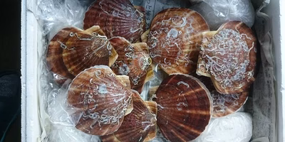 これからの日本の食を支えるということ