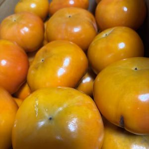 ラスト！訳あり富有柿となります！ご了承下さい5kg箱込み