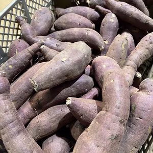 紅あずま✨ SMサイズ  B品 10kg 2組限定‼️